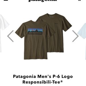 Patagonia logo t shirt